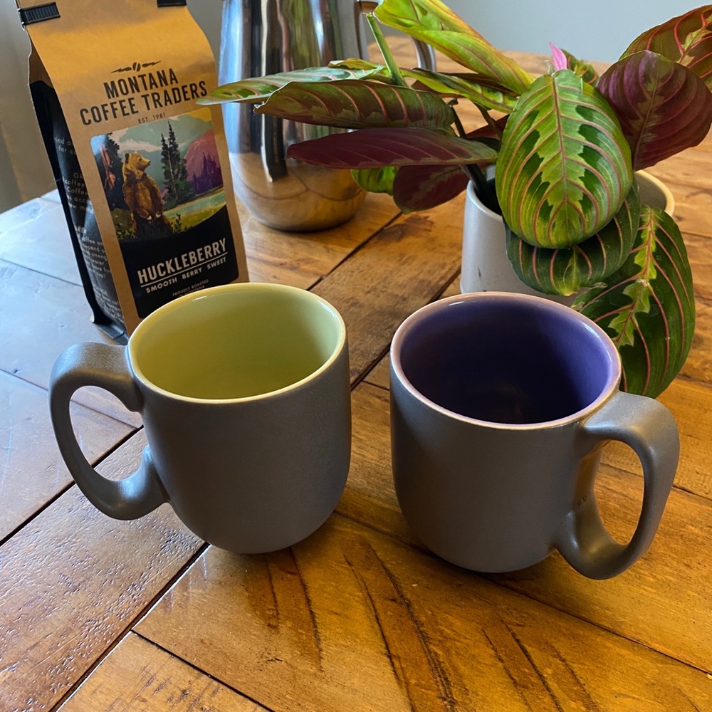 ☕️ 2 Gray Starbucks Coffee Mugs ☕️